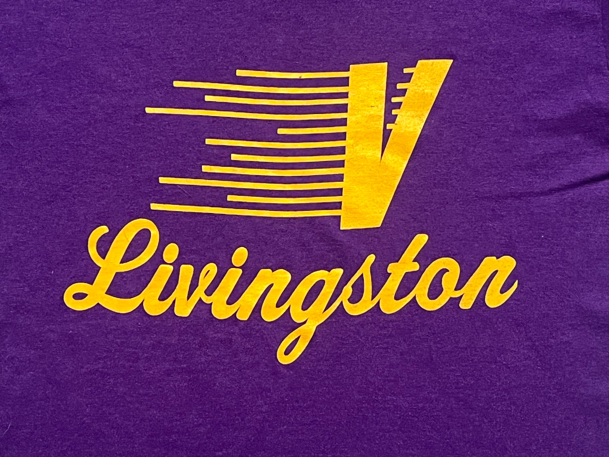 90s Livingston Flying V t-shirt