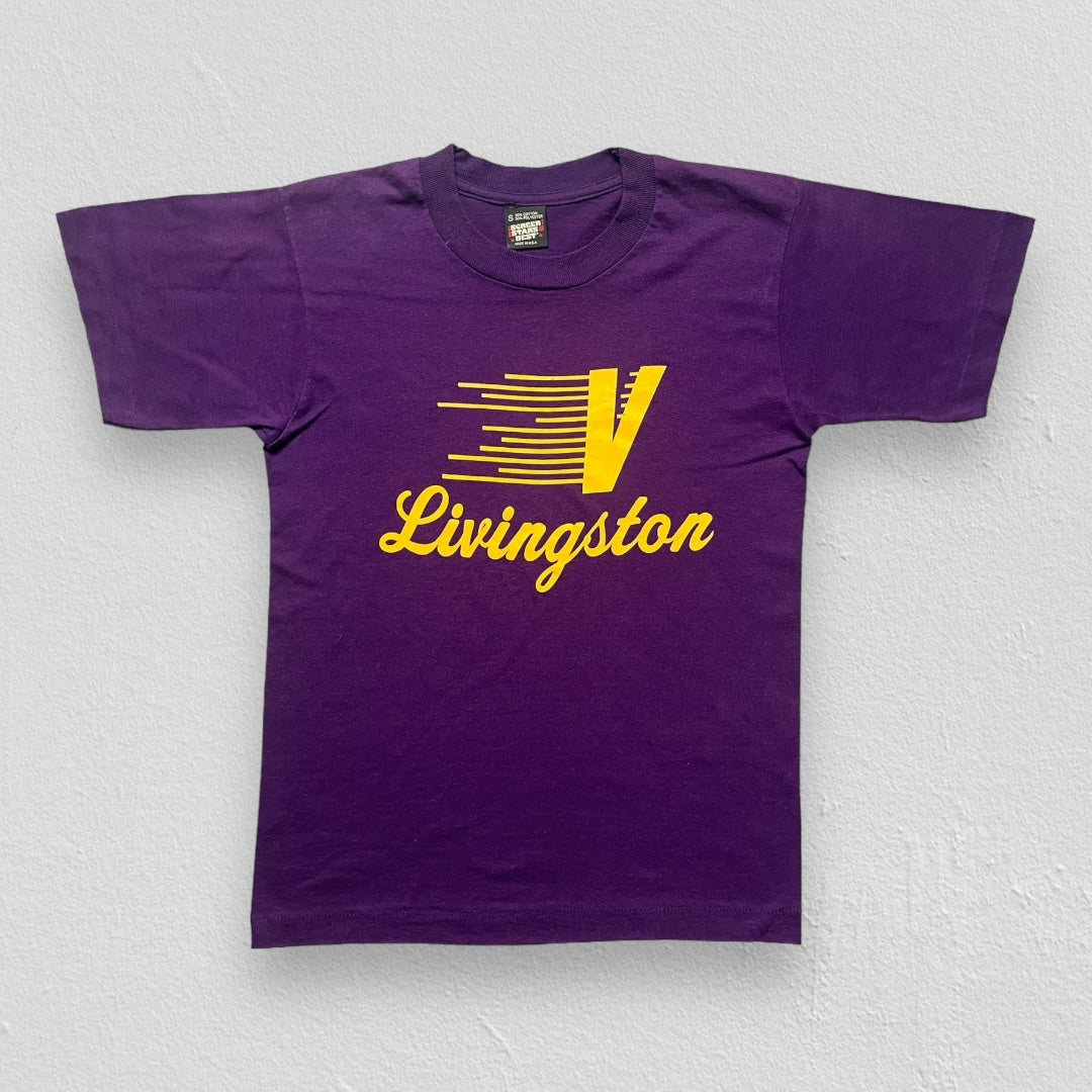 90s Livingston Flying V t-shirt