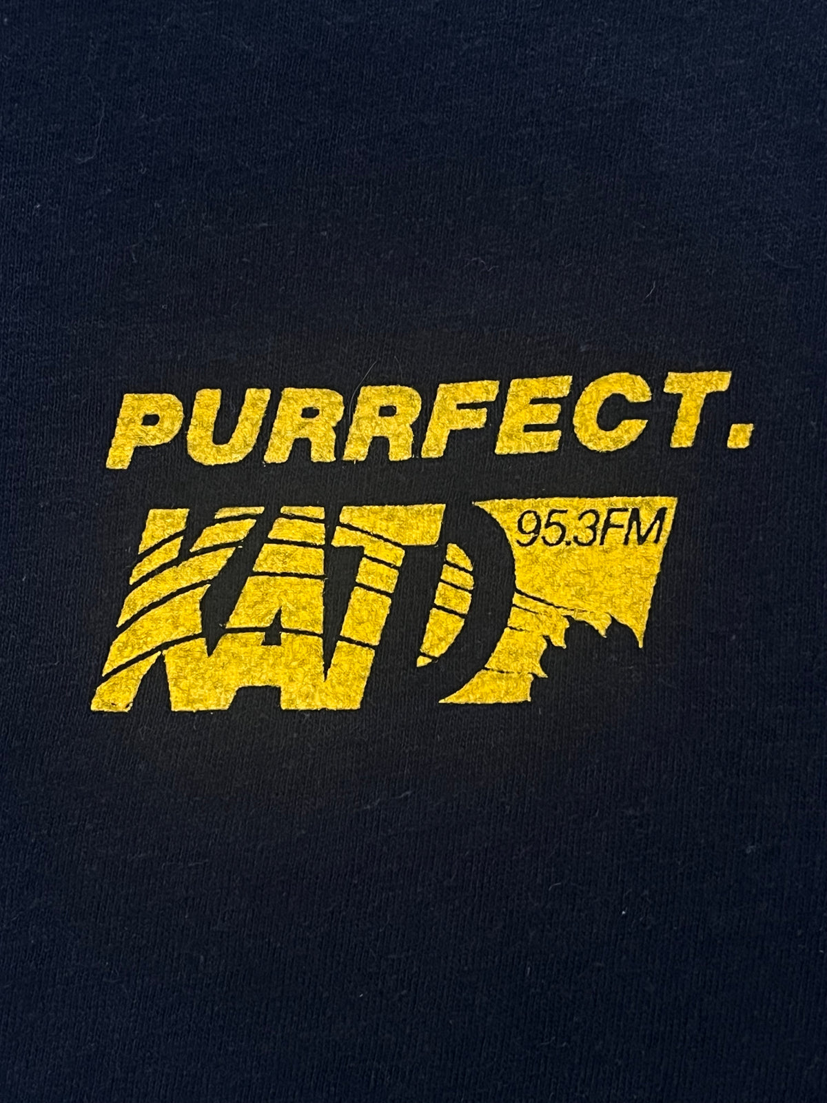 80s KATD 95.3FM Radio station Cat T Shirt